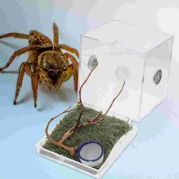 2 To'plam Spider Terrarium Pet Playpen Jumping Case Hasharotlar Muhofazasi Tank Saqlash Qutisi Akril Salyangoz Konteyner Aksessuarlari