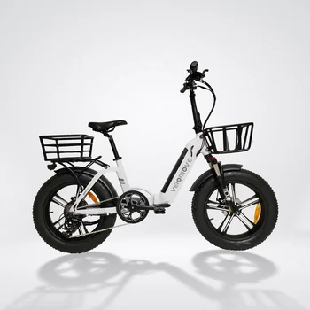 48V orqa Hub motorli yuqori tezlikda katlanadigan Ebike yog ' shinasi 20 dyuymli yuk velosipedi