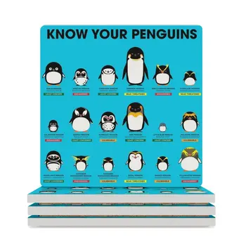 Pingvinlaringizni biling seramika kostryulkalar (kvadrat) qahva stakanlari uchun yoqimli oshxona jihozlari oq seramika to'plamlari